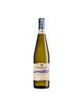 Terre Forti Pignoletto Bianco Frizzante DOC 75cl